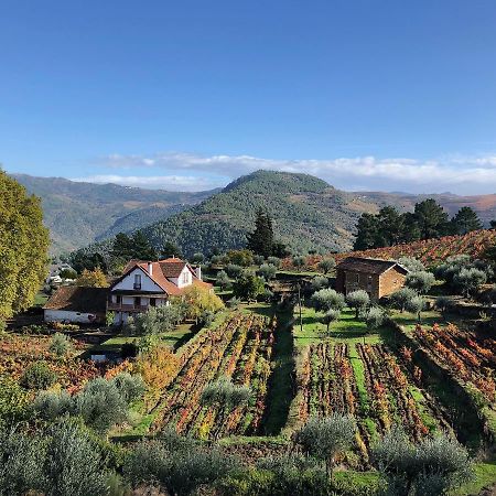 Sao Mamede de Ribatua Quinta Vila Rachel - Winery מראה חיצוני תמונה